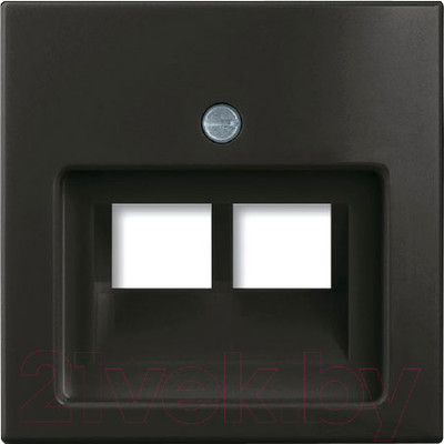 Лицевая панель ABB Basic 55 1753-0-0206 (шато-черный)