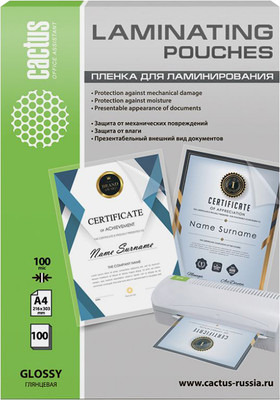 Пленка для ламинирования Cactus А4 216x303мм 100мкм / CS-LPGA4100100 (100шт, глянец)