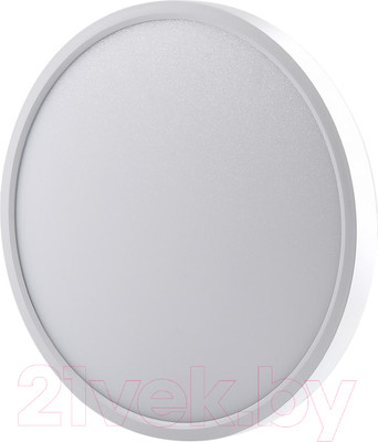 Потолочный светильник Ultra NR 30W CCT White