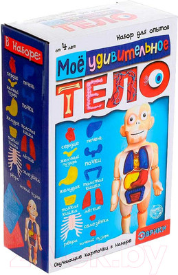 Научная игра Эврики Мое удивительное тело / 5483302
