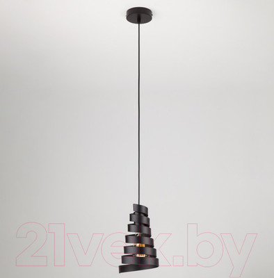 Потолочный светильник Евросвет Storm 50058/1 (черный)