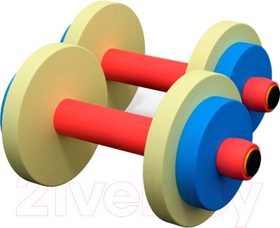 Набор гантелей DFC VT-2009 (2шт)