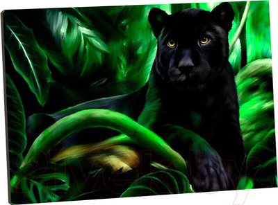 Картина по номерам Школа талантов Пантера / 5351088