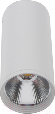 Точечный светильник Kinklight Фабио 08570-12.01 (белый)