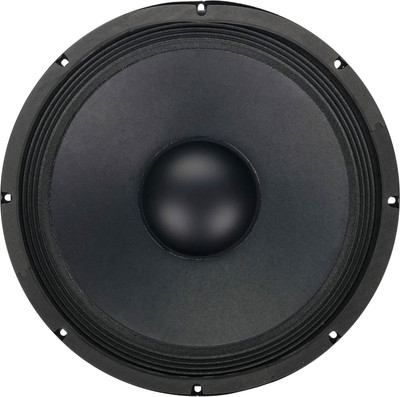 Динамик для профессиональной акустики Soundking FB1501G