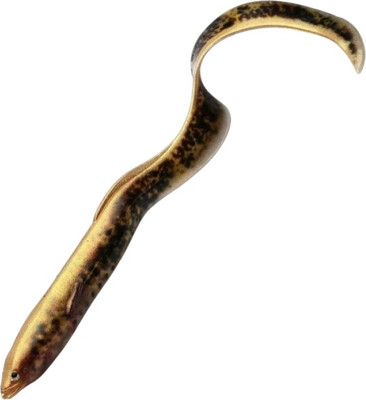 Мягкая приманка Savage Gear LB Real EEL Lamprey PHP / 80191