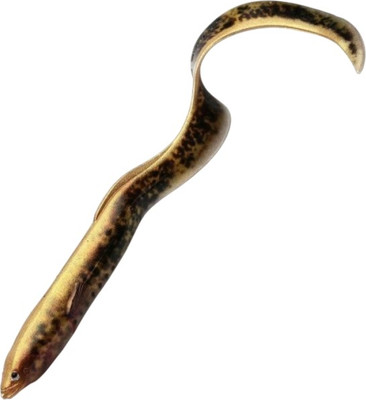 Мягкая приманка Savage Gear LB Real EEL Lamprey PHP / 80195