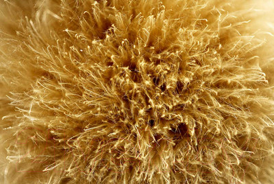 Картина на стекле Stamprint Золотая середина AR034 (80x120)