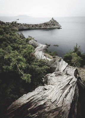 Картина на стекле Stamprint Край земли NT015 (70x50)