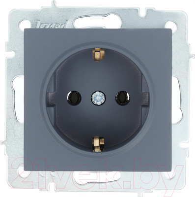 Розетка Lezard Vesna 742-3488-122B