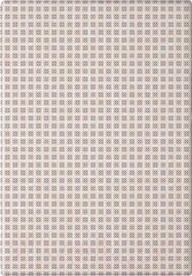 Пододеяльник Самойловский текстиль Хлопок СТ 200x220 8514/1