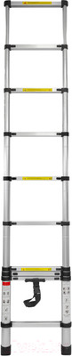 Телескопическая лестница Forsage F-UP290