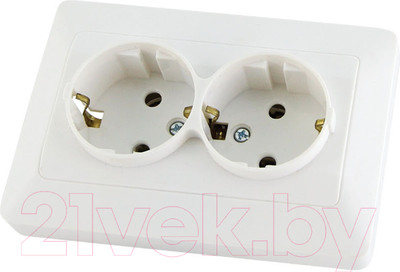 Розетка TDM Ильмень SQ1823-0012 (белый)