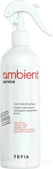 Стабилизатор окрашивания Tefia Ambient Service (500мл)