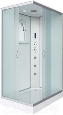 Душевая кабина Niagara NG-43085-14QF 100x80 (матовое стекло)