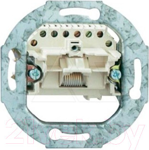 Розетка ABB Basic 55 13210401