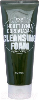 Пенка для умывания Derma Factory Houttuynia Cordata 24% Cleansing Foam (120мл)