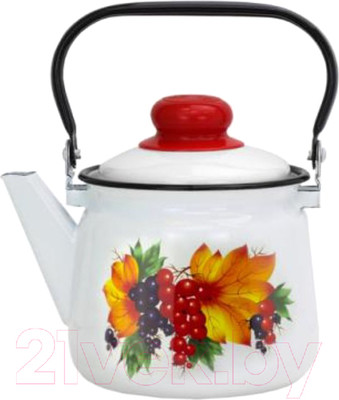 Чайник Эмаль Смородина 01-2711/4