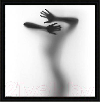 Картина Декарт Силуэт-3 8Л1773 (в раме)