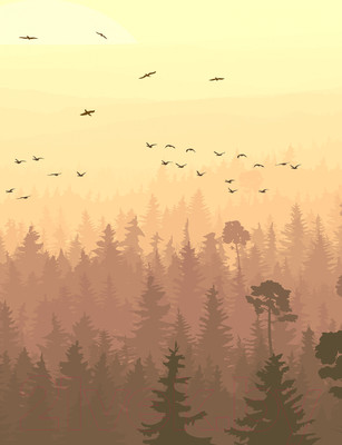 Фотообои листовые Vimala Теплый лес (270x200)