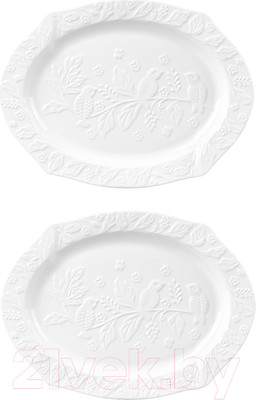 Набор сервировочных блюд Elan Gallery Птички на ветке / 540258_2 (2шт)