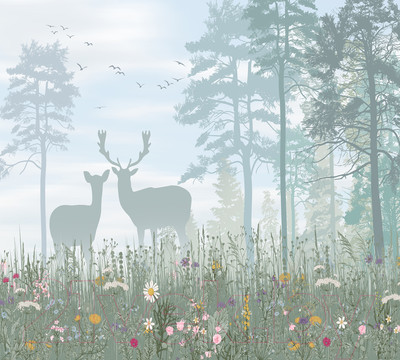 Фотообои листовые Vimala Утренний лес (270x300)