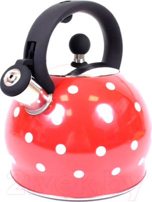 Чайник со свистком TimA WTK241C