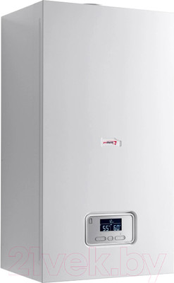 Газовый котел Protherm Пантера 25 КТО