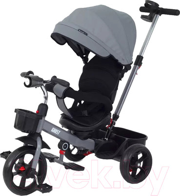 Трехколесный велосипед с ручкой Rant Basic Ghost / RB250 (серый)