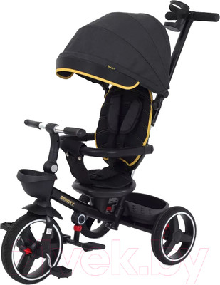 Трехколесный велосипед с ручкой Rant Gravity / RB200 (графит)