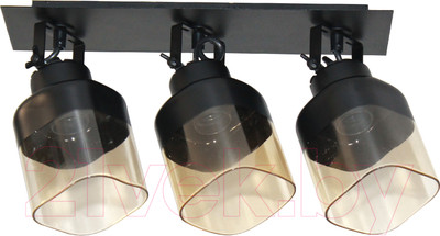 Спот Элетех Марш 111 НПБ 01-3х60-223 Е27 / 1005405034 (черный муар)