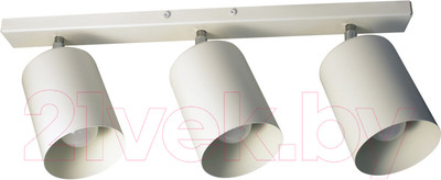 Спот Элетех НПБ 01-3х60-513 / 1005404515 (белый матовый)