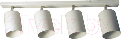Спот Элетех НПБ 01-4х60-513 / 1005404516 (белый матовый)