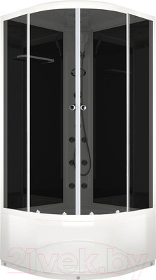 Душевая кабина Domani-Spa Delight 88 High / DS01D88HBT10 (черный/тонированное стекло)