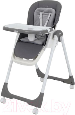 Стульчик для кормления Rant Basic Mango / RH304 (Grey)