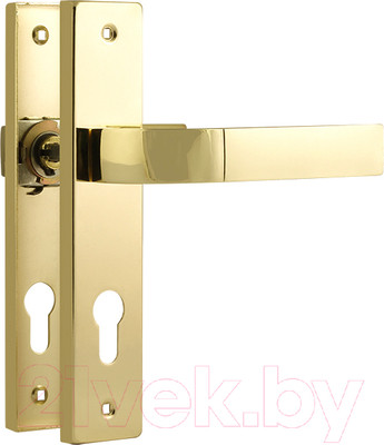 Ручка дверная Нора-М 107-70 (золото)