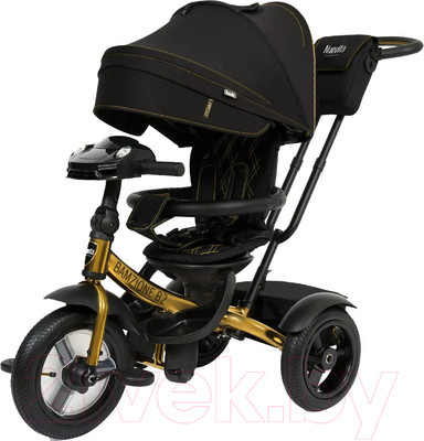 Трехколесный велосипед с ручкой Nuovita Bamzione B2 (черное золото)