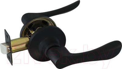 Ручка дверная Нора-М Isparus ЗВ3-05 (черный)