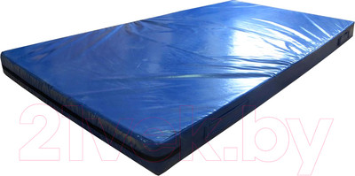 Гимнастический мат ZSO 100x200x10см / 10021 (без поролона)