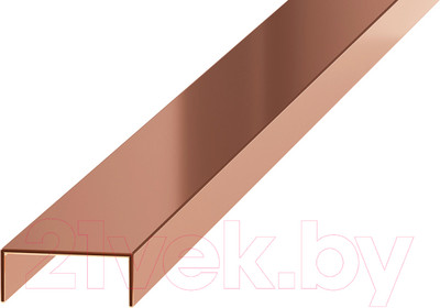 Профиль декоративный Eviso Pro-Line PRBR-0001 2700x10x8 (бронза глянец)