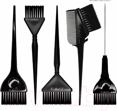 Набор кистей для окрашивания волос Flawle 1.502.01 (5шт, черный)
