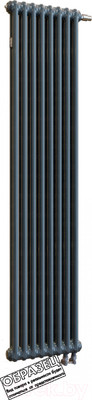 Радиатор стальной Arbonia RRN 2180/9 24 (RAL 7016, подключение слева-направо)