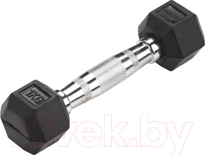 Гантель Indigo Sport IN124 (1кг, черный)