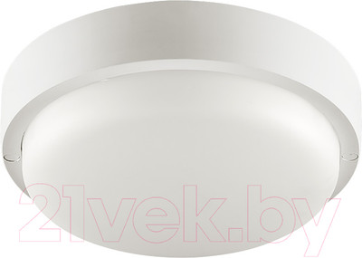 Светильник ЖКХ Wolta LCL04-18W-R21-6K-SM