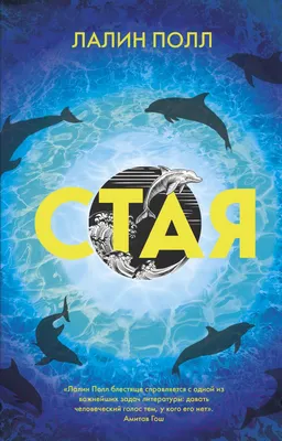 Художественная книга Эксмо Стая (Полл Л.)
