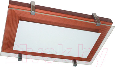 Потолочный светильник Элетех Полесье 280х160 НББ 06-40 М40 / 1005205882 (белый/вишня/хром)