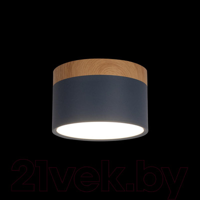 Точечный светильник Loftit Grape 10162 (синий)