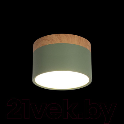 Точечный светильник Loftit Grape 10162 (зеленый)