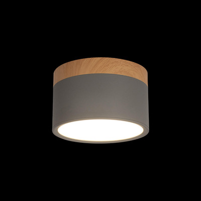 Точечный светильник Loftit Grape 10162 (серый)