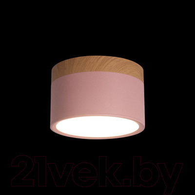 Точечный светильник Loftit Grape 10162 (розовый)